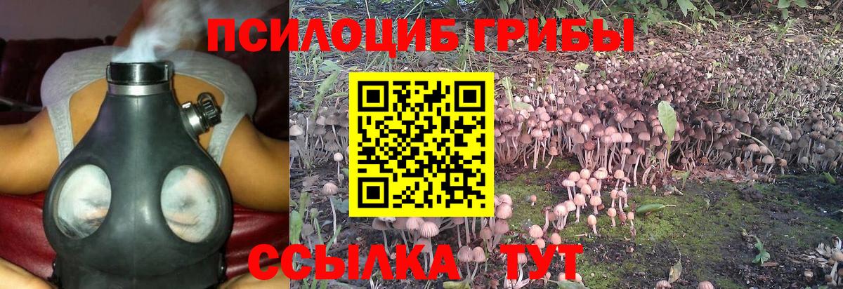 Галлюциногенные грибы мухоморы Елизово