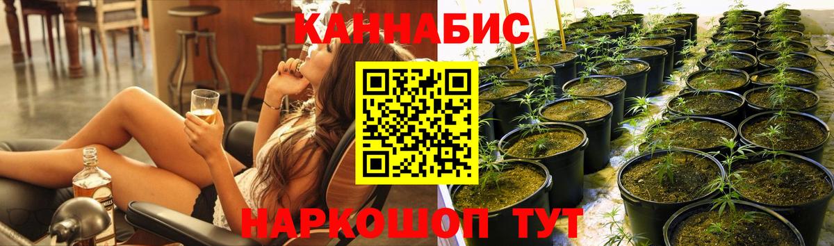 Каннабис MAZAR Елизово